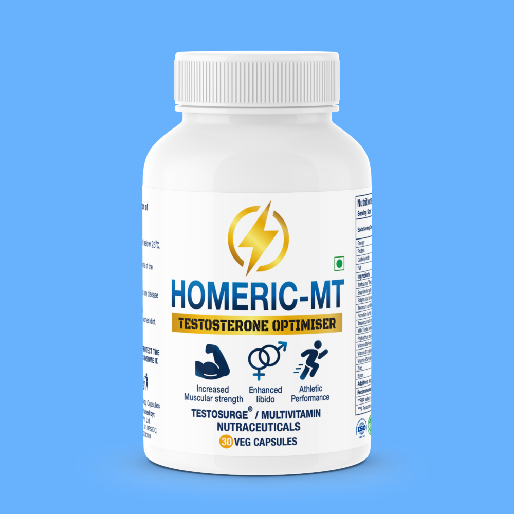 Homeric-MT