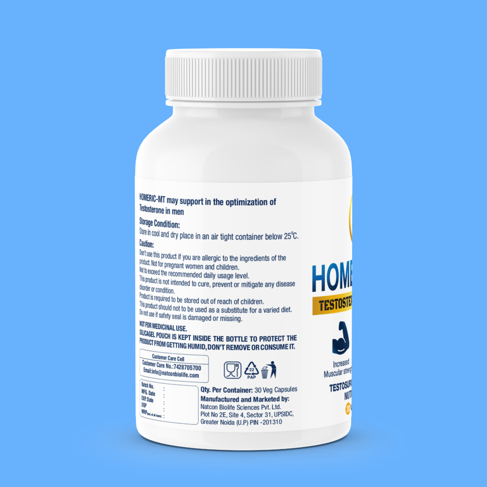 Homeric-MT